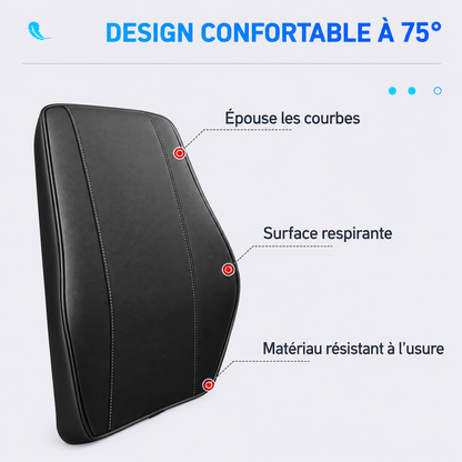 Coussin Cuir Voiture — Maintien Lombaire Premium